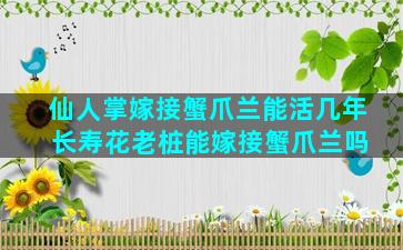 仙人掌嫁接蟹爪兰能活几年 长寿花老桩能嫁接蟹爪兰吗